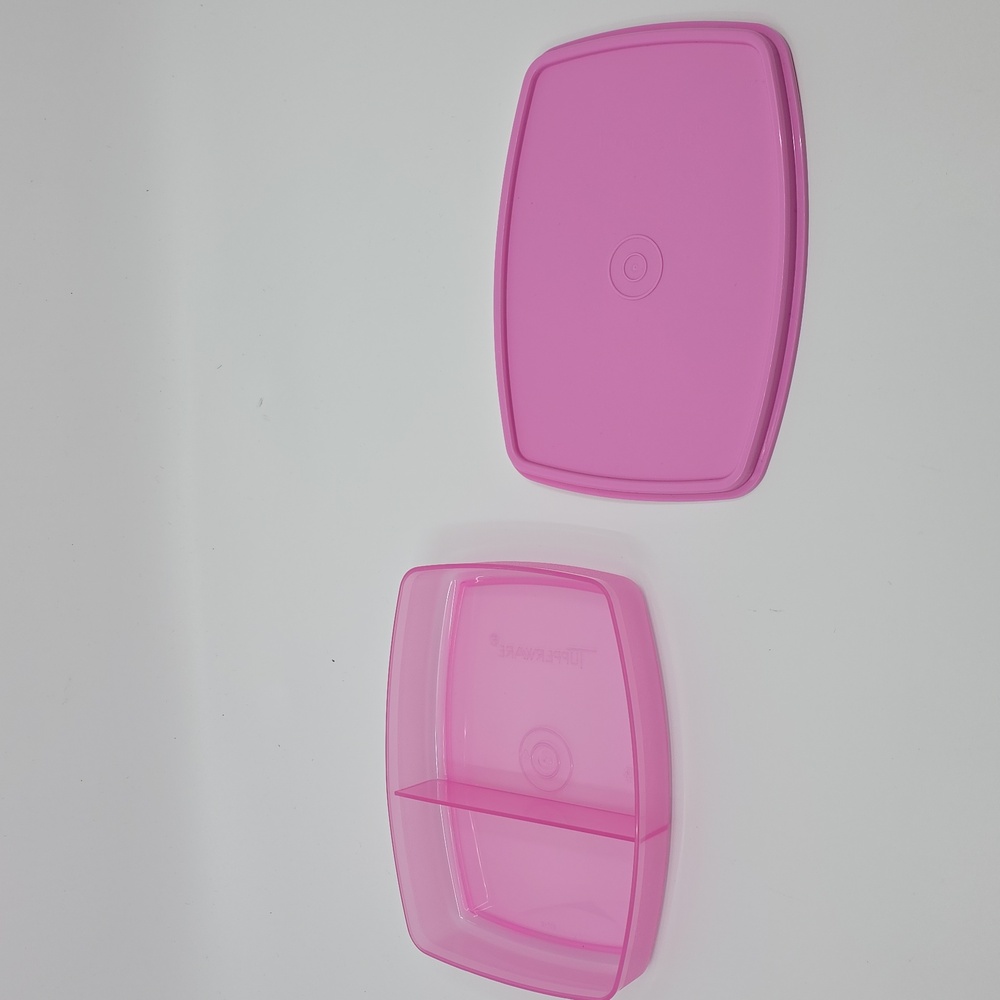 Tupperware Side by Side Container New